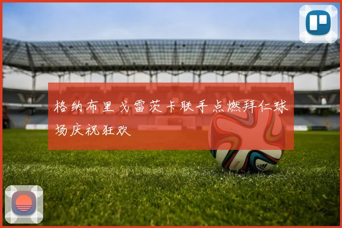 格纳布里戈雷茨卡联手点燃拜仁球场庆祝狂欢