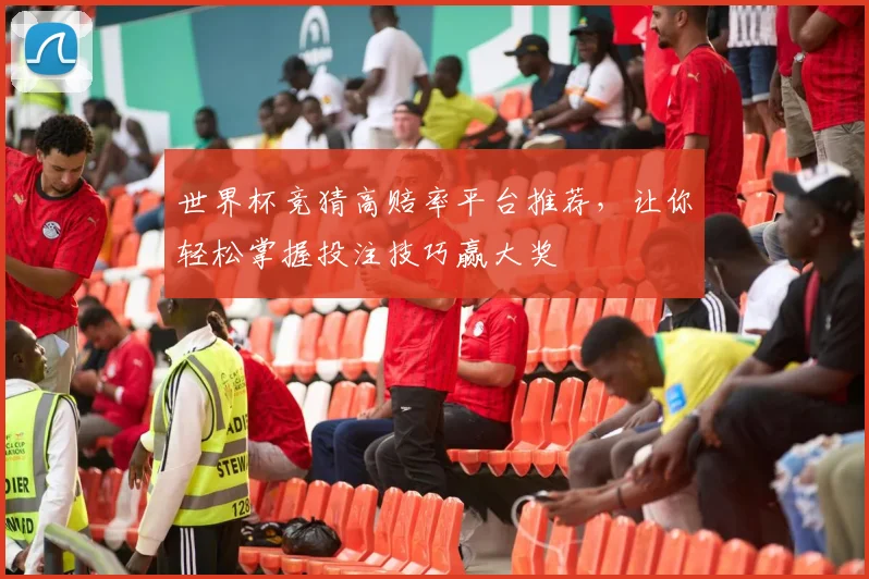 世界杯竞猜高赔率平台推荐，让你轻松掌握投注技巧赢大奖