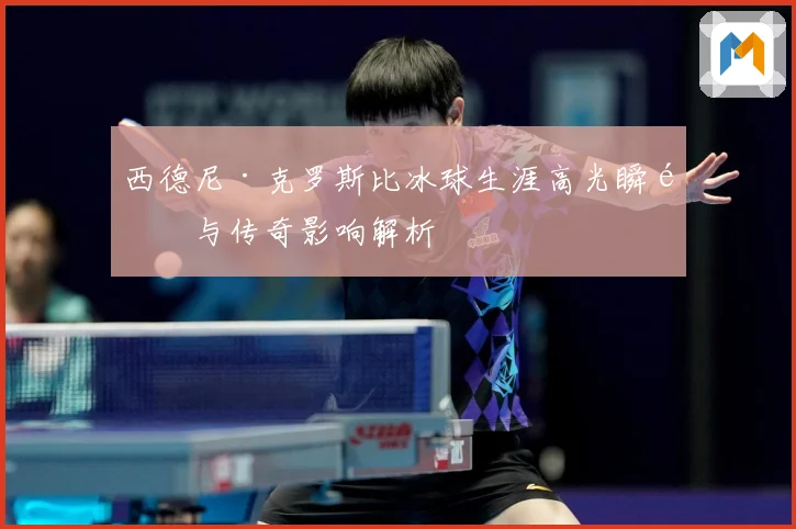 西德尼·克罗斯比冰球生涯高光瞬间与传奇影响解析
