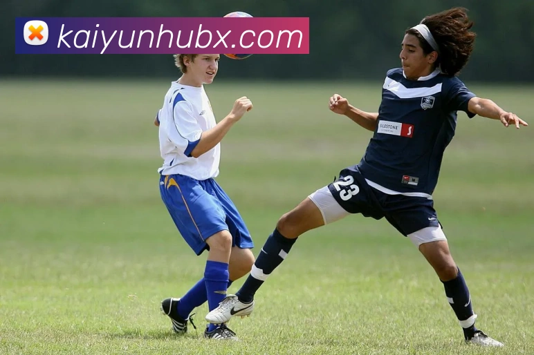 开云平台展示图